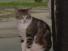 06edgar.jpg